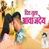 About Dil Tula Aavaj Dey Song